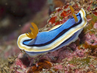 La Laguna Point [ 6 images ]